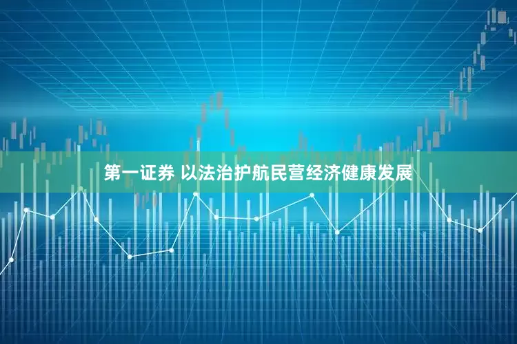 第一证券 以法治护航民营经济健康发展