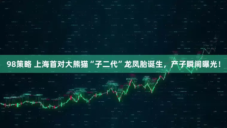 98策略 上海首对大熊猫“子二代”龙凤胎诞生，产子瞬间曝光！